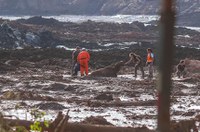 Projeto garante defesa de animais em casos de desastres ambientais 