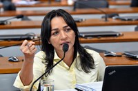 Secretário de Comunicação do governo apresenta diretrizes da pasta à CTFC