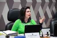 Audiência pública da CCJ sobre combate à violência é adiada para a próxima semana 