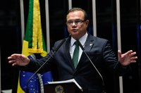 Wellington defende projeto que garante proteção de animais em desastres