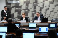 CAE aprova Fernanda Nechio para diretoria do BC. Indicação vai a Plenário