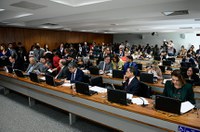 Apreensão imediata de arma de fogo como medida protetiva vai ao Plenário