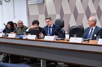 Em audiência na CCJ, relator defende rigidez e cautela no acesso a armas 