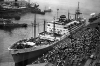 Senado celebra 111 anos da imigração japonesa no Brasil 