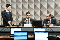 Audiência discute MP que reformula Programa de Parcerias de Investimentos