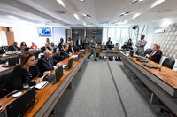 Comissão confirma exigência de diploma para professor de educação física