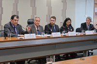 Técnicos fazem críticas à privatização de elétricas em audiência pública