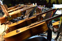 Dia Nacional da Música e da Viola Caipira será comemorado no Senado
