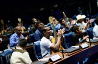 Senado homenageia os 90 anos da música e da viola caipira