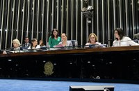 Pauta feminina avançou no Senado no primeiro semestre de 2019