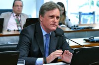 Dário quer que LDB explicite liberdade de expressão em universidades e escolas