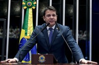 Para Reguffe, reforma da Previdência é necessária, mas PEC precisa de alterações