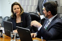 Subcomissão da CE promove terceiro debate sobre Plano Nacional de Esporte