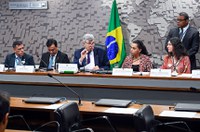 Debatedores divergem sobre desconto maior em tarifa de energia para irrigação
