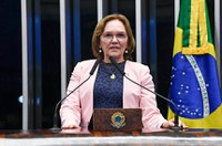 Zenaide diz que Senado não pode apenas ‘carimbar’ reforma da Previdência