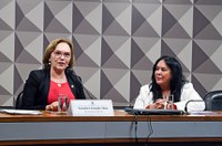 Comissão de Combate à Violência contra a Mulher elege Zenaide Maia presidente