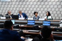 Em audiência, governo apoia criação da Semana dos Direitos Humanos nas escolas