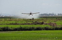 Projeto proíbe liberação de agrotóxicos mais agressivos do que os já registrados