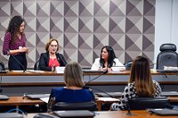 Comissão de Combate à Violência contra a Mulher vai eleger vice-presidente