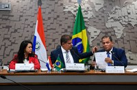 Grupo Parlamentar Brasil-Paraguai elege comissão 