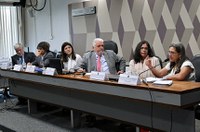 CCJ debate reforma da Previdência sob a ótica da assistência social