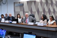 Em reunião na CCJ, debatedores pedem ajustes no texto da reforma da Previdência