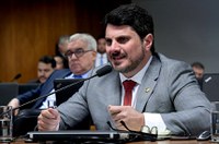 CRE analisa projeto que libera instalação de fábricas de armamentos no Brasil