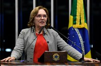 Reforma da Previdência precisa de mais tempo de análise, diz Zenaide