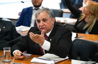 Comissão de Desenvolvimento Regional debate ações da Sudeco 