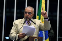 Paim lamenta aumento do desmatamento e queimadas na Amazônia