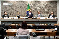 Para especialistas, regularização fundiária combaterá desmatamento e incêndios