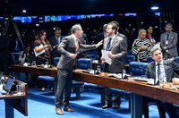 Queimadas na Amazônia dominam debate entre senadores