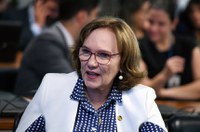 Comissão de combate à violência contra a mulher elegerá vice na quarta (4)