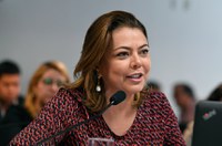 Comissão analisa direitos a crianças e adolescentes em processo de adoção