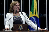 Para Zenaide, ministro da educação afronta país ao chamar Estado de 'tijolo'