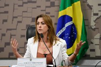 Imagem do Brasil no exterior sobre meio ambiente e agronegócio é tema de debate