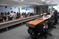 CMA vai ouvir órgãos de governo sobre queimadas e desmatamento na Amazônia