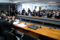 CDH arquiva proposta de uso recreativo da maconha e analisa uso medicinal 