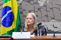 Guiana deve crescer 30% ao ano e Brasil pode se beneficiar, afirma diplomata