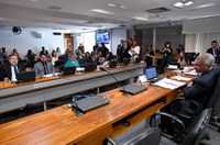 Suicídio e automutilação serão tema de audiência pública na CAS