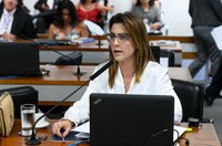 CE decide que trecho da BR-359 em MS será a ‘Rodovia Virgílio José Carneiro’