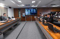 Minha Casa Minha Vida deve almejar a sustentabilidade das obras, aprova CI