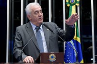 Otto Alencar responsabiliza governo federal por queimadas na Floresta Amazônica