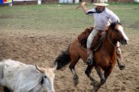 Sancionada lei que inclui o laço como expressão esportivo-cultural da vaquejada