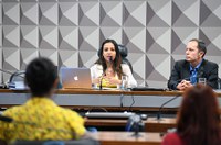 Workshop debate importância de inovar no processo de produção de leis