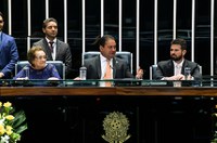 Professora e fitoterapeuta Terezinha Rêgo é homenageada no Senado