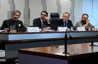 Especialistas dizem que incêndios na Amazônia são causados por desmatamento ilegal