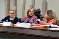 Comissão de Combate à Violência contra a Mulher debate Plano de Equidade do Senado