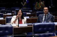 Senado aprova empréstimo internacional para Vila Velha