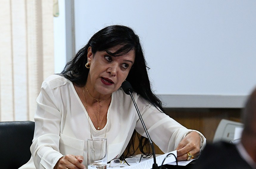 A presidente da Fenaj, Maria José Braga, apresentou os dados sobre ataques ao jornalismo na reunião em que se discutiu a liberdade de imprensa no Brasil